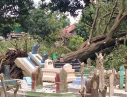 Makam di Indramayu Hancur Tertimpa Pohon Mahoni Besar Saat Hujan Deras